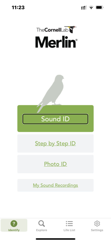 Główne okno aplikacji Merlin Bird ID